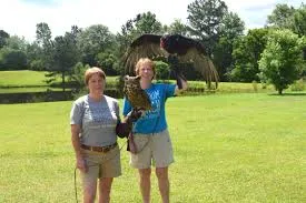 Animal Show