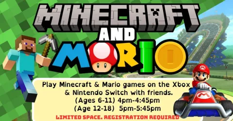 Minecraft & Mario