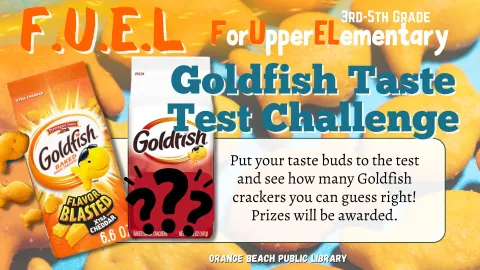 Pictured: two bags of goldfish crackers, one extra chedder flavored, and one is a red bag of mystery flavored on a blue and yellow goldfish cracker background.