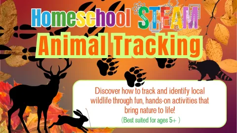 Pictured: a deer, rabbit, and raccoon silhouette on a fall colored backgroudn with leaves and bear and deer foot prints. 